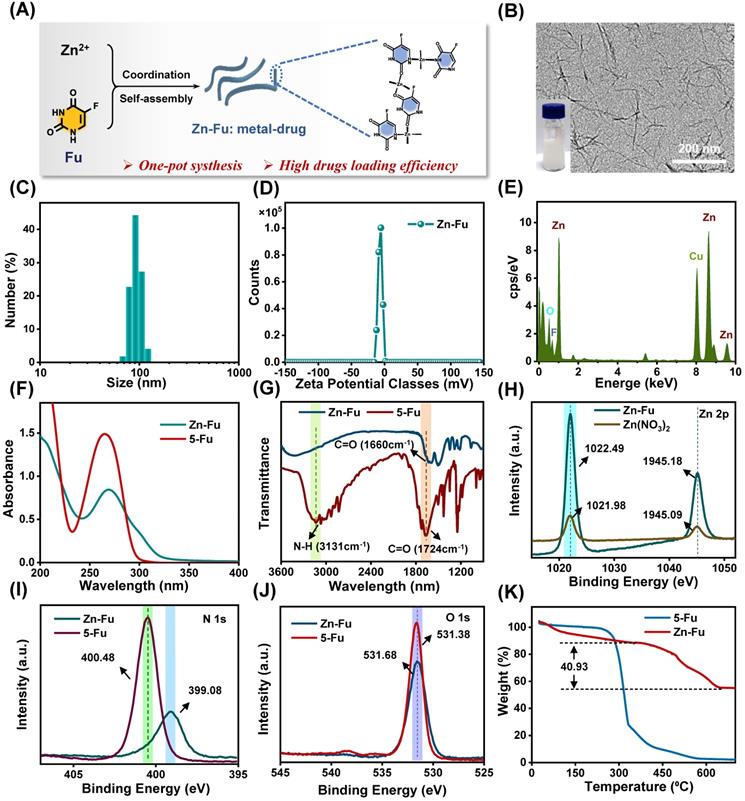 Theranostics Image