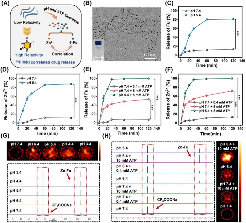 Theranostics Image