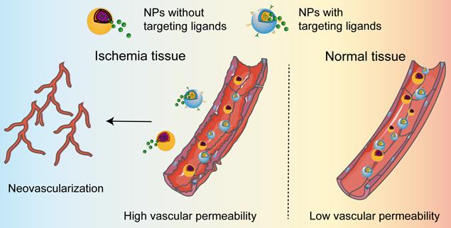 Theranostics Image