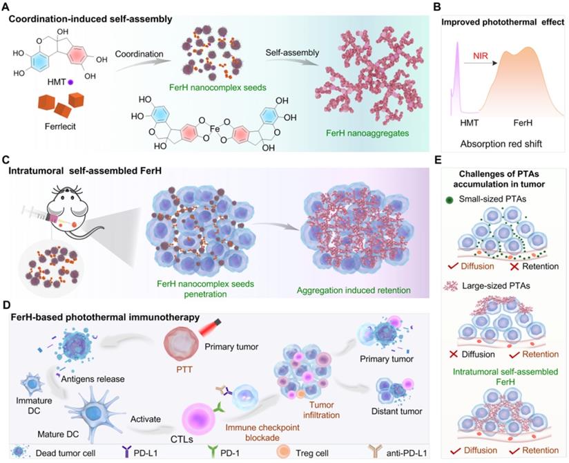 Theranostics Image