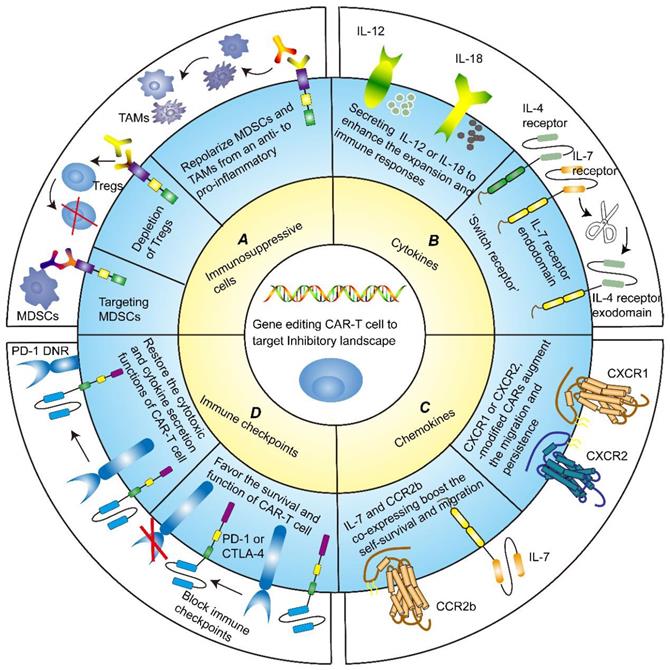 Theranostics Image