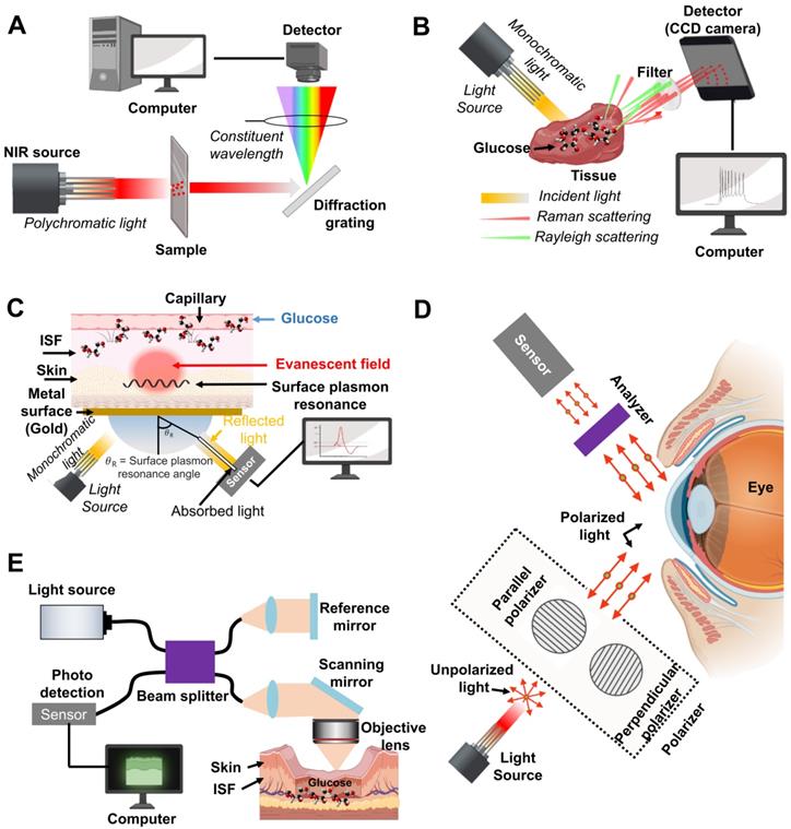 Theranostics Image