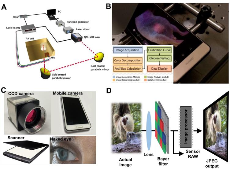 Theranostics Image