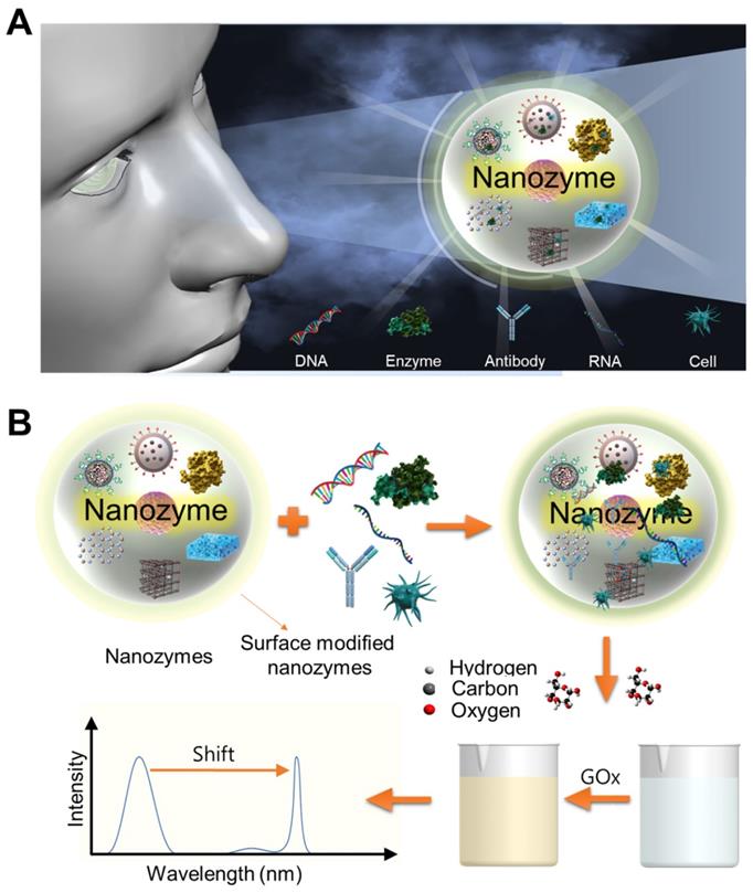 Nanozymebased colorimetric biosensor with a systemic quantification
