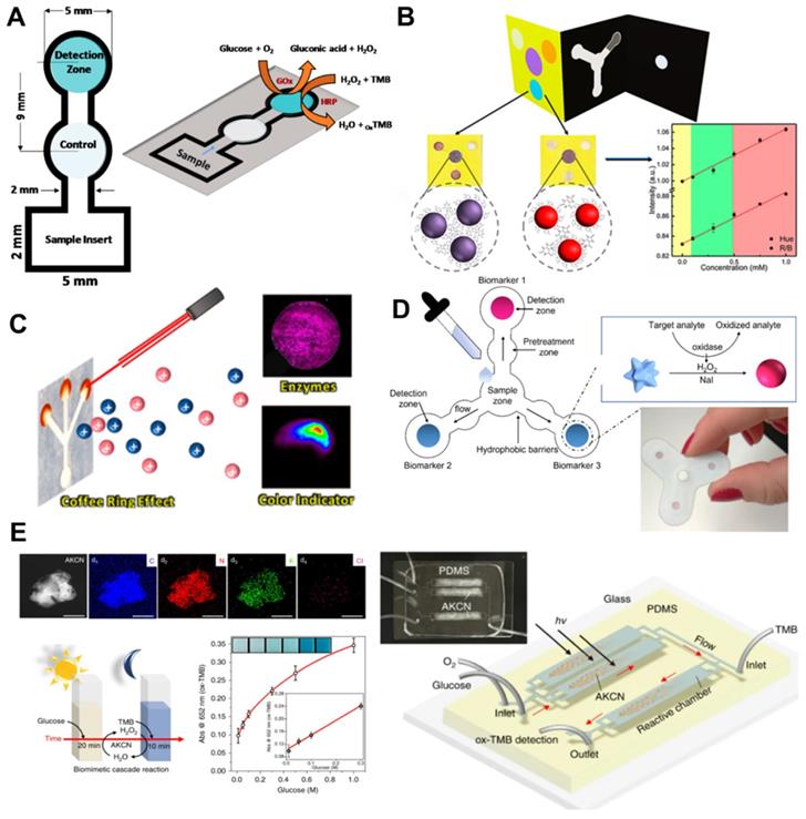 Theranostics Image