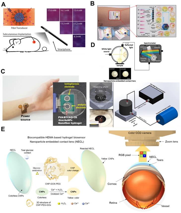 Theranostics Image