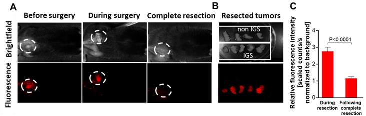 Theranostics Image