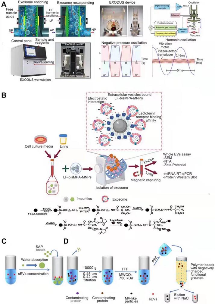 Theranostics Image