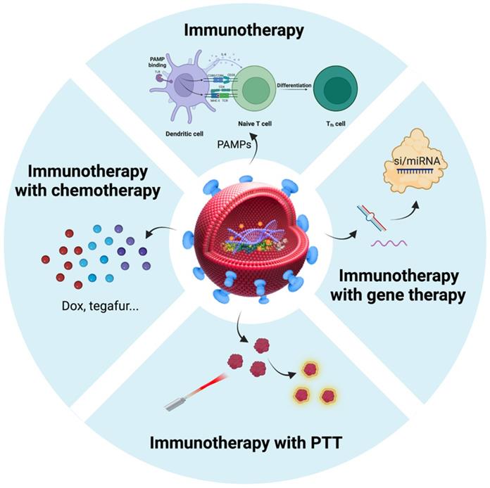 Theranostics Image