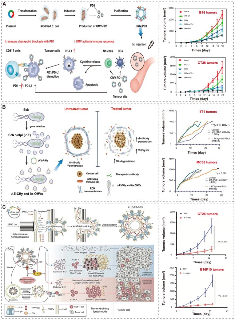 Theranostics Image