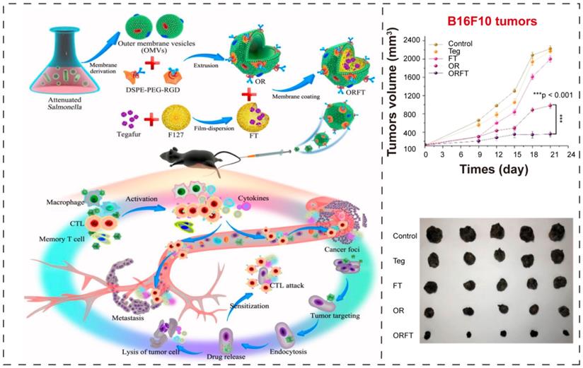 Theranostics Image