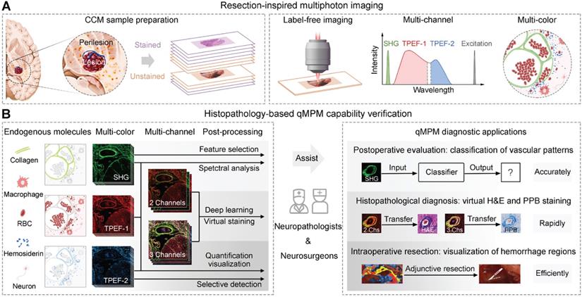 Theranostics Image