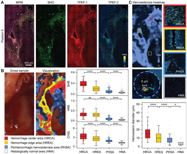 Theranostics Image