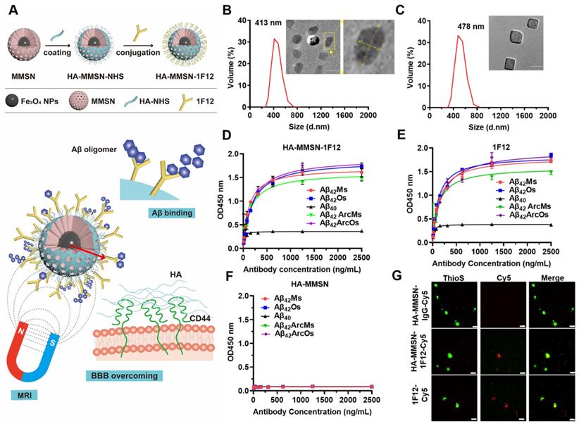 Theranostics Image