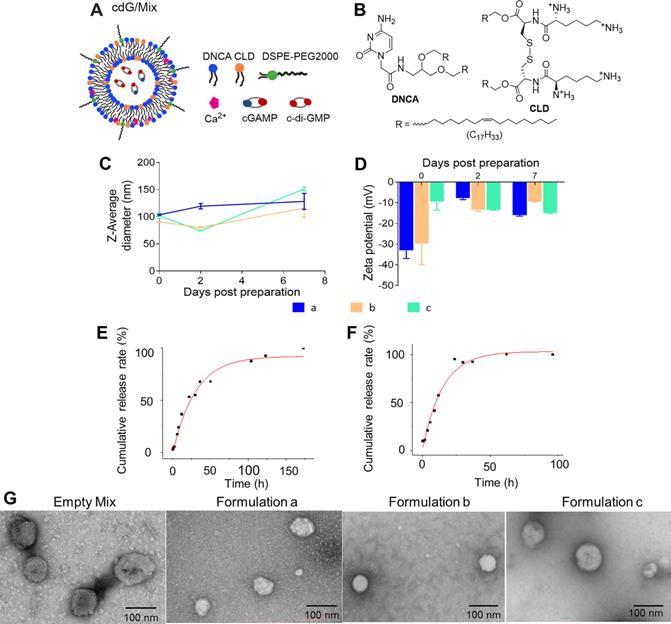 Theranostics Image