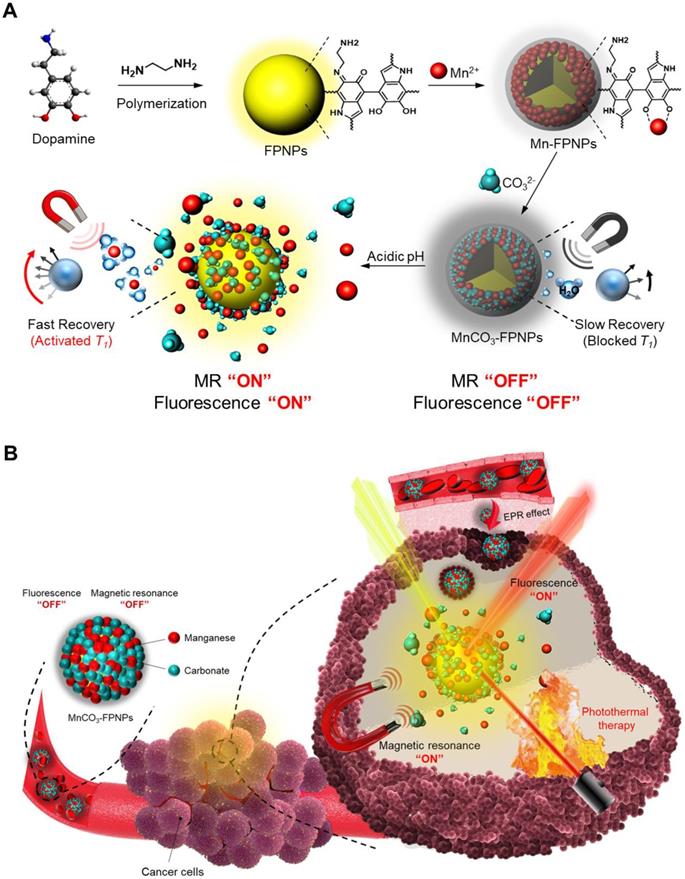 Theranostics Image