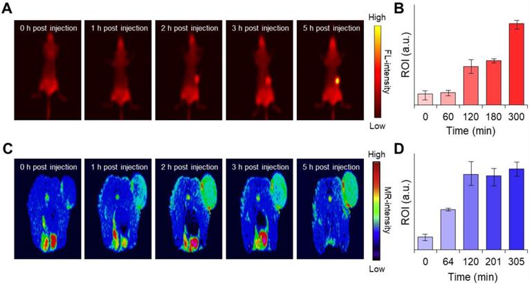 Theranostics Image