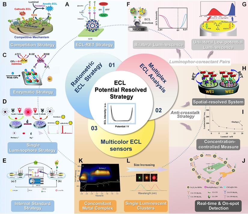 Theranostics Image