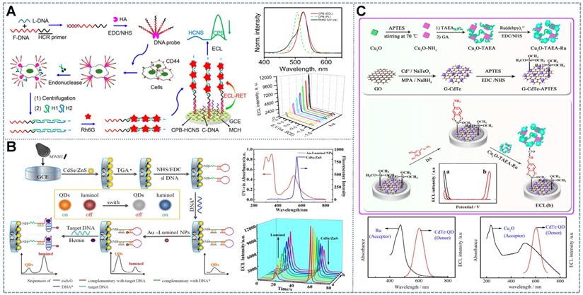 Theranostics Image