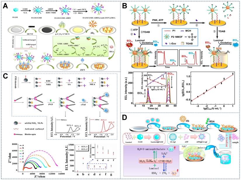 Theranostics Image