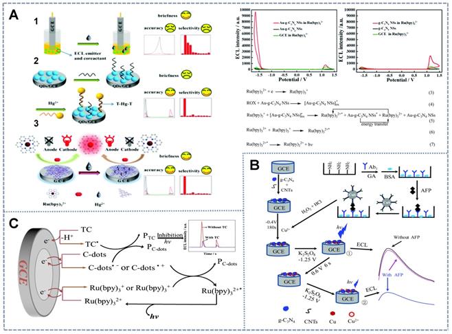 Theranostics Image