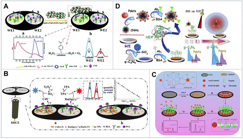 Theranostics Image