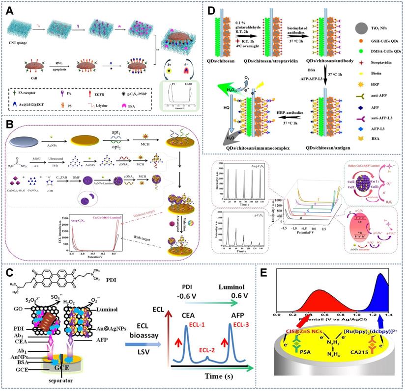 Theranostics Image