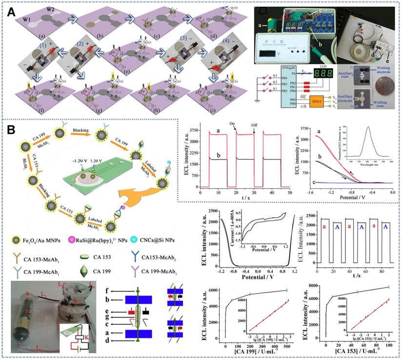 Theranostics Image