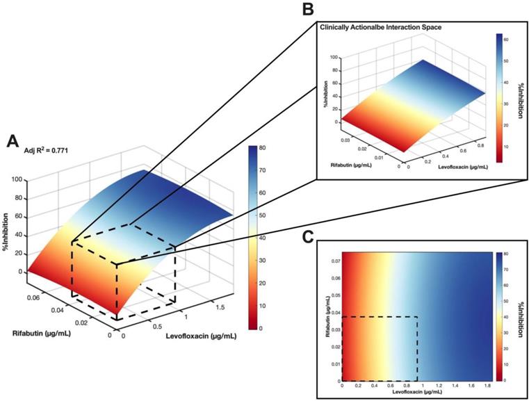 Theranostics Image