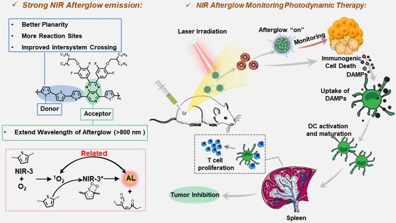 Theranostics Image