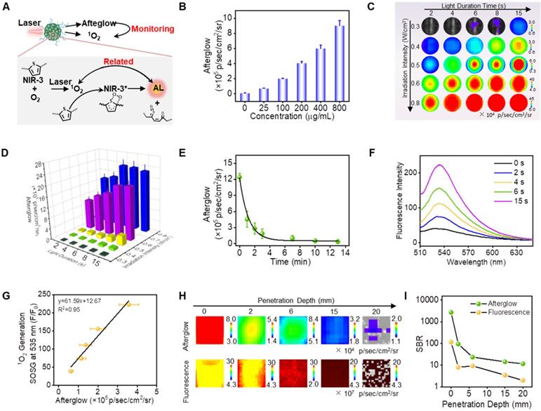 Theranostics Image