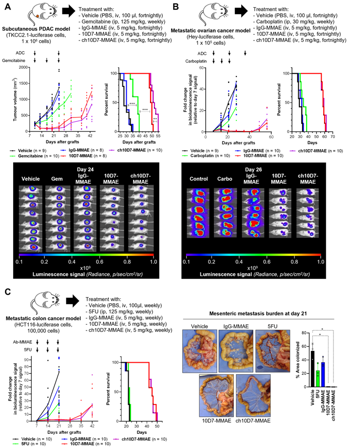 Theranostics Image