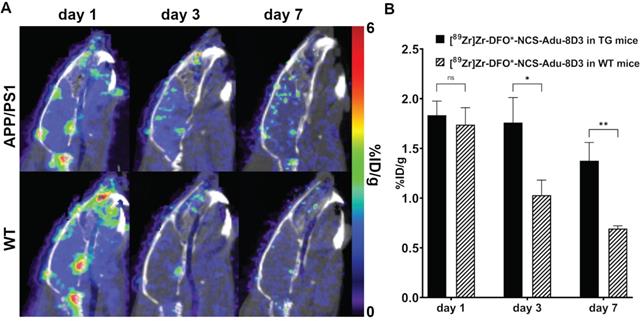 Theranostics Image