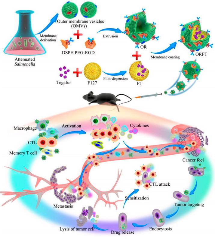 Theranostics Image