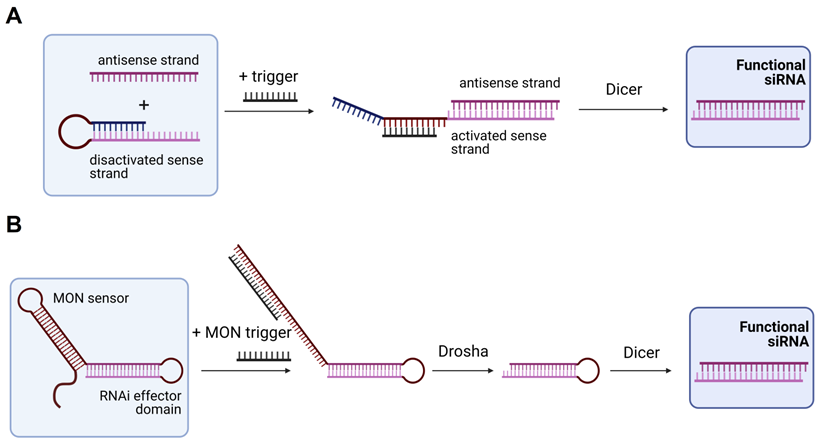 Theranostics Image