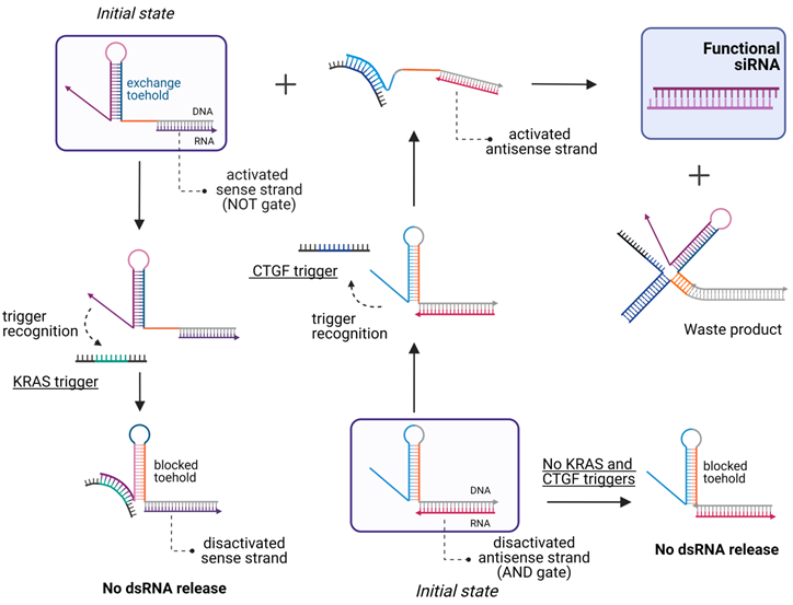 Theranostics Image