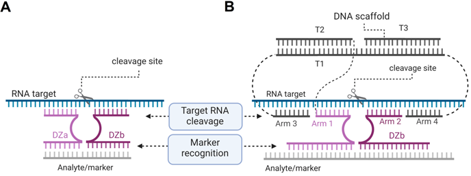 Theranostics Image