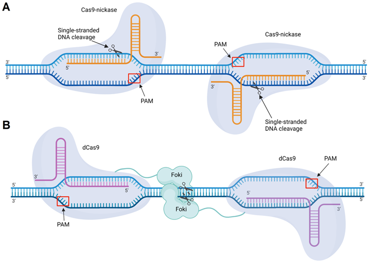 Theranostics Image