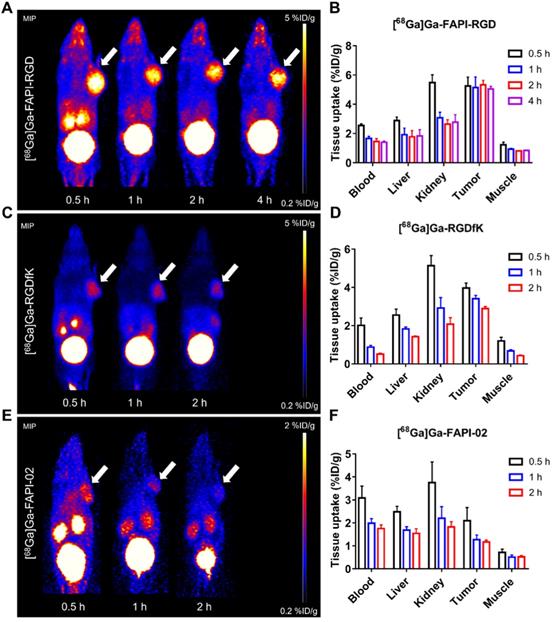 Theranostics Image