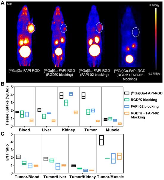 Theranostics Image