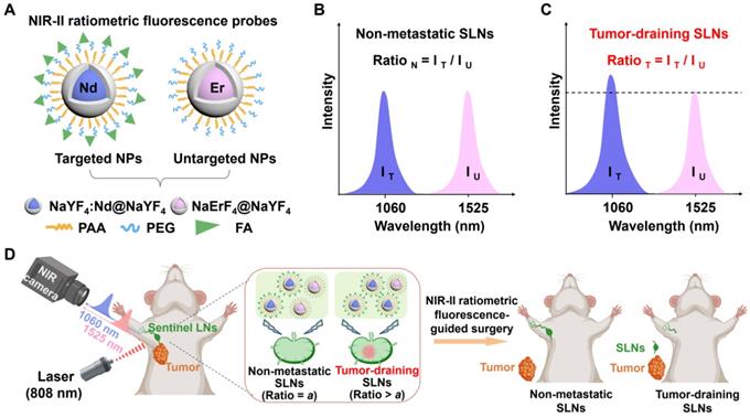 Theranostics Image