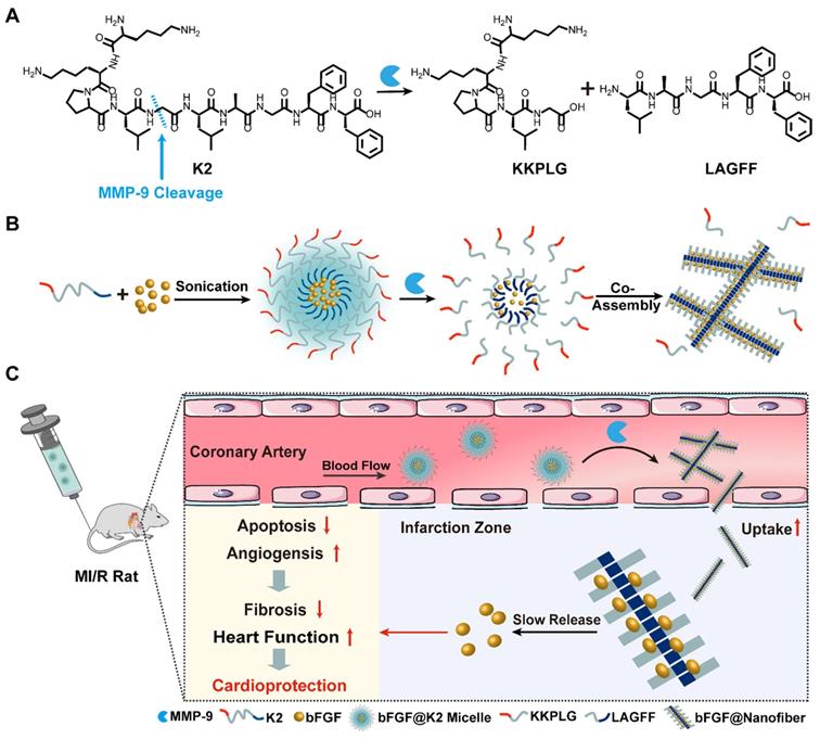 Theranostics Image