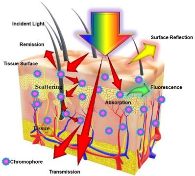 Theranostics Image