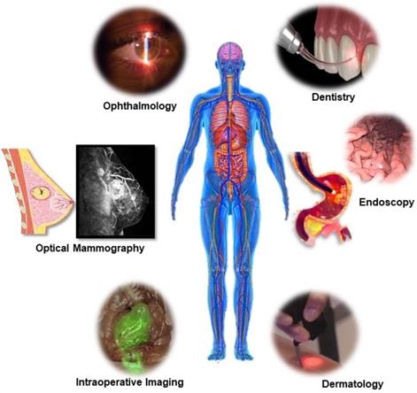 Theranostics Image