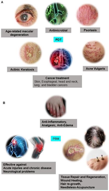 Theranostics Image