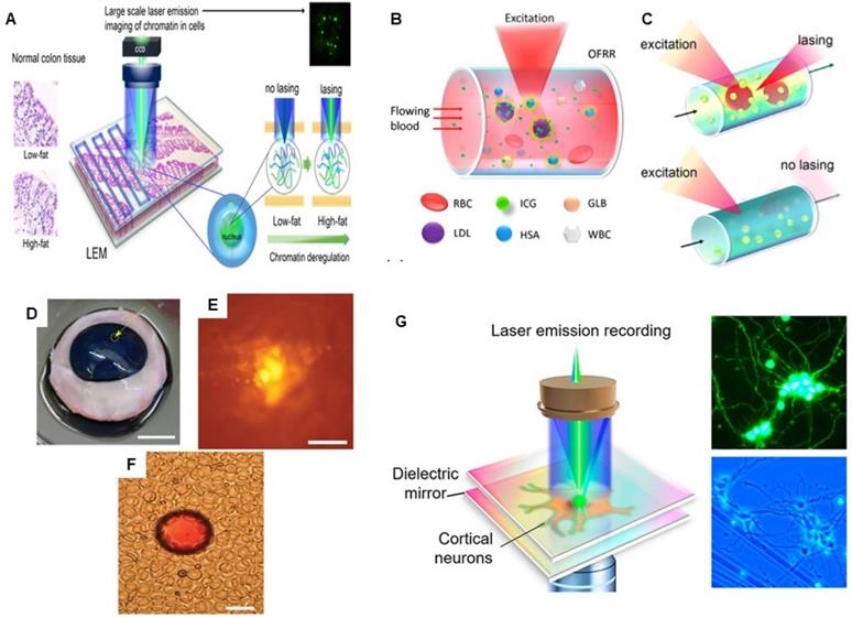 Theranostics Image