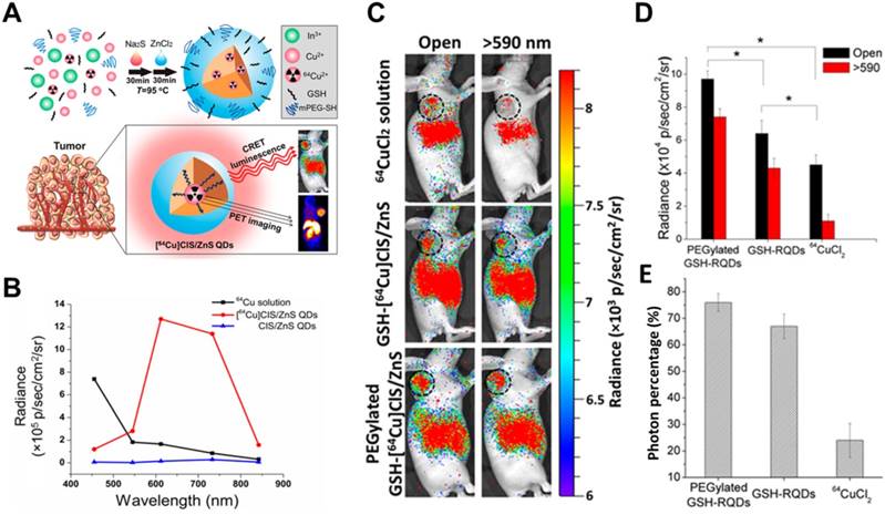 Theranostics Image