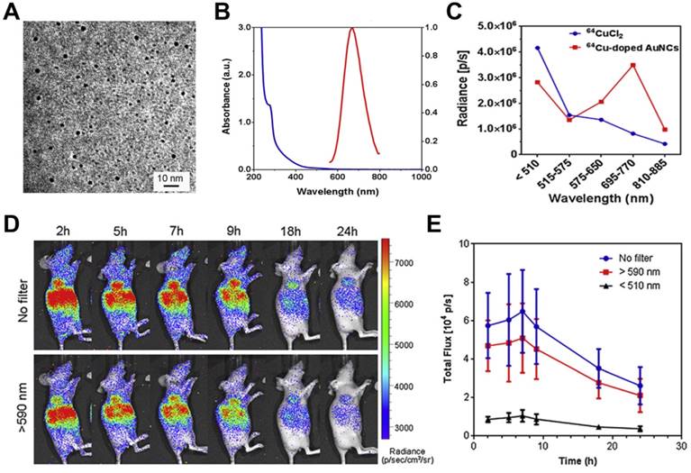 Theranostics Image