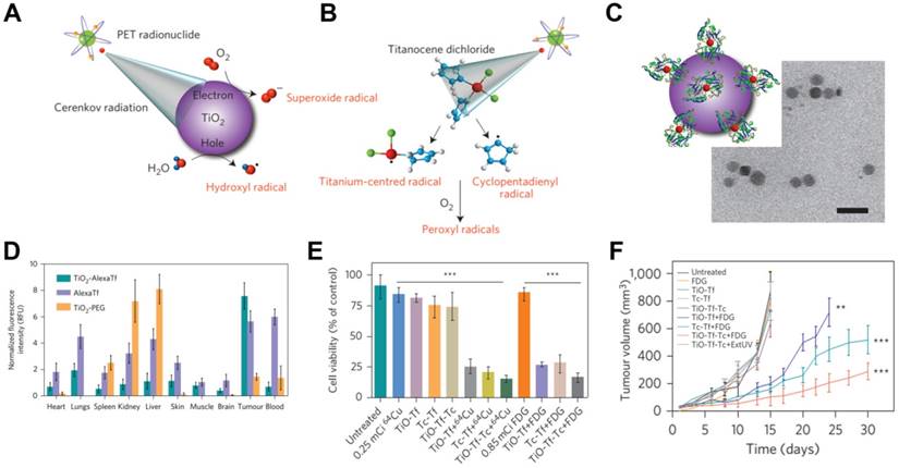 Theranostics Image