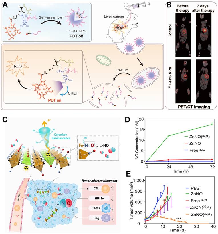 Theranostics Image